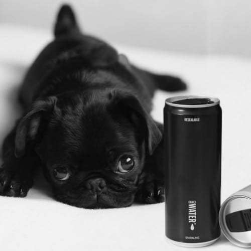 Puszka po wodzie CanO potrzebuje jedynie 60 dni aby z zakładu recyclingu z powrotem znaleźć się na półce sklepowej