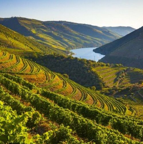 Vidago w szkle 0,75 l bije ze źródła z podziemnego zbiornika z czystego granitu