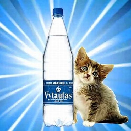 Woda Vytautas, bardzo wysoko zmineralizowana, bogata w wiele ważnych składników mineralnych