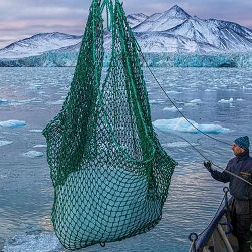Połowy fragmentów góry lodowej z której powstaje woda Svalbardi
