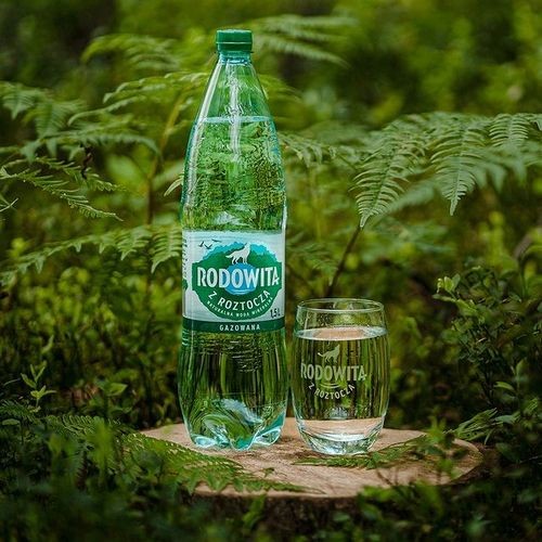 Rodowita ma świetny balans składników mineralnych. Przy delikatnym, świeżym smaku nie brakuje w niej najważniejszych minerałów takich jak magnez, wapń czy potas, a jednocześnie jest najbogatsza w krzemionkę wśród polskich wód i ma niską zawartość sodu!