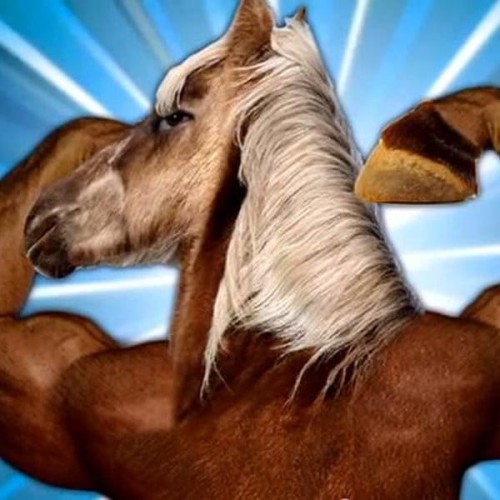 "smakuje jak pot koński" - Vytautas to bardziej minerały rozpuszczone w wodzie, niż zwykła woda mineralna. Męska woda.