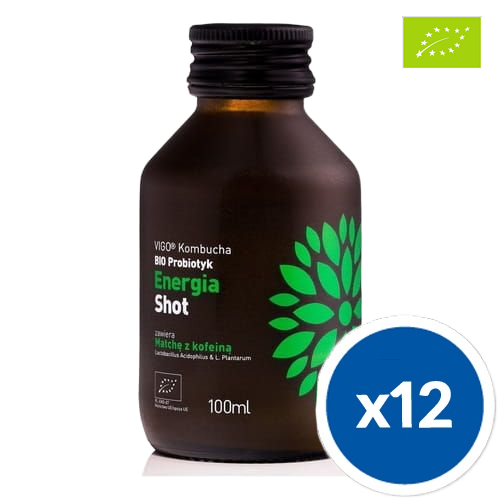 Shot Kombucha Energia Bezglutenowy BIO 100 ml Vigo x12
