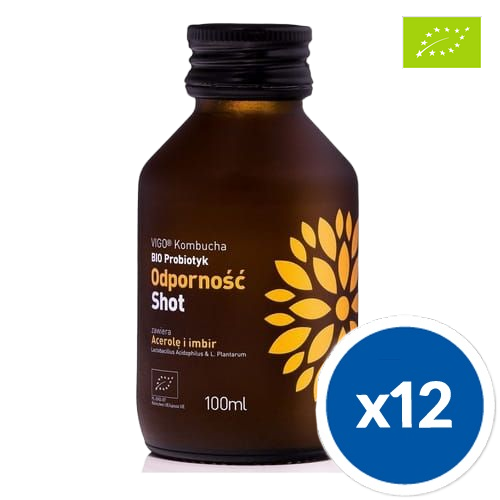 Shot Kombucha Odporność Bezglutenowy BIO 100 ml Vigo x12