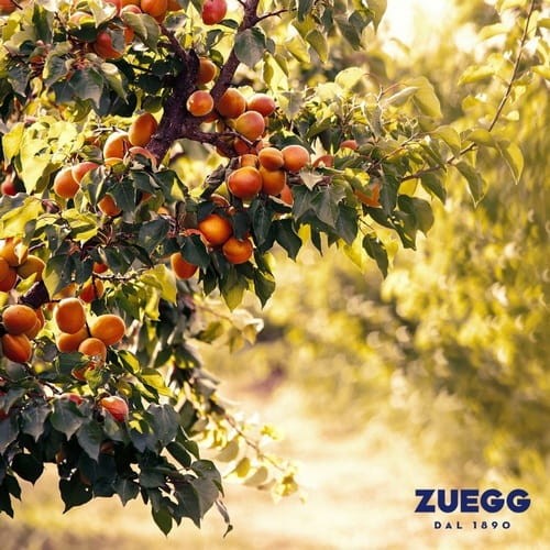 zuegg_najlepsze_owoce.jpg