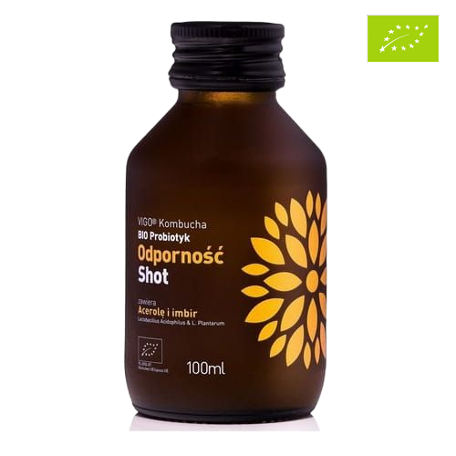 Shot Kombucha Odporność Bezglutenowy BIO 100 ml Vigo