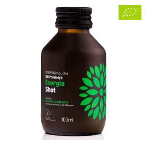 Shot Kombucha Energia Bezglutenowy BIO 100 ml Vigo x12