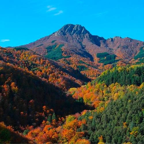 Woda Font d'Or rodzi się w samym sercu zielonych połaci lasów dębu korkowego, które pokrywają góry Montseny, 1000 metrów nad poziomem morza.