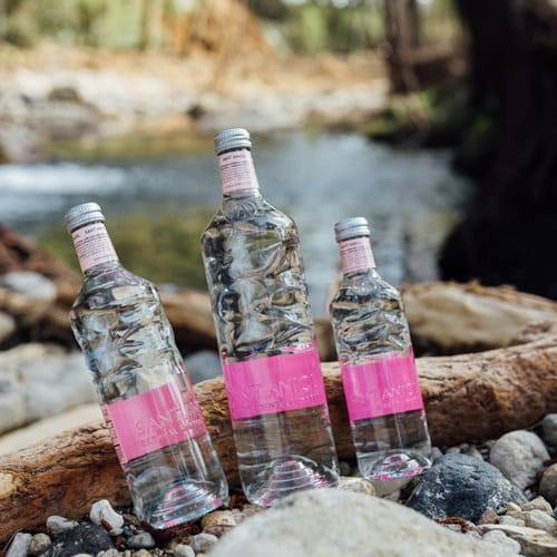 Pomaga również zapobiegać infekcjom dróg moczowych, a także obniżać poziom kwasu moczowego i cholesterolu.