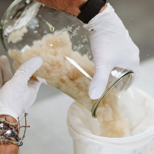 Kefir wodny to sfermentowany napój przygotowywany na bazie wody i cukru, z wykorzystaniem tak zwanych kryształków japońskich (znanych także jako algi).