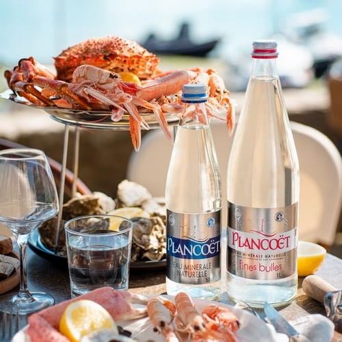 Plancoet rekomendujemy do potraw o delikatnej strukturze smaku: ostryg, owoców morza, białych ryb, młodych serów i lekkich deserów.