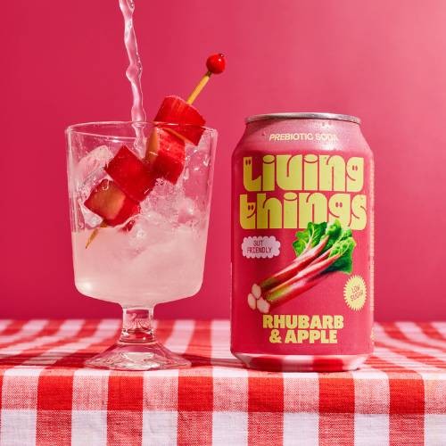 Living Things Raspberry & Pomegranate – musująca soda z maliną i granatem. Funkcjonalny napój z prebiotykami, lekki, owocowy i odżywczy.