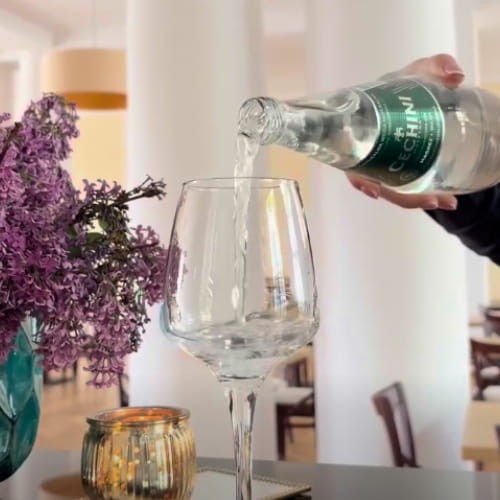 Cechini Muszyna to idealny wybór dla osób dbających o zdrowie, równowagę mineralną i świadome nawodnienie każdego dnia.