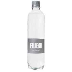 Fiuggi 500 ml Niegazowana PET x24